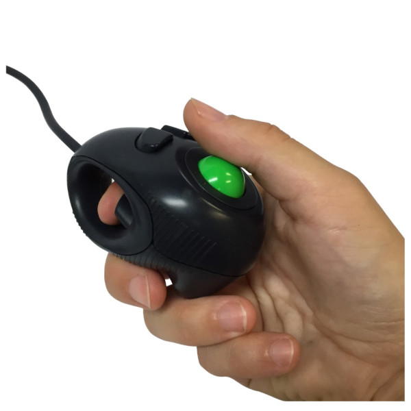 Track ball computer mouse